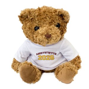 Alternative view of ABERYSTWYTH 2026 - Teddy Bear - Cute Cuddly Soft - Wales Graduation Gift Present
