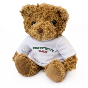 ABERYSTWYTH, WALES - Teddy Bear - Cute Cuddly Soft Adorable - Welsh Gift Present