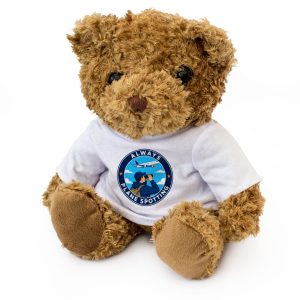 ALWAYS PLANE SPOTTING - Teddy Bear - Cute - Funny Plane Spotter Gift Present