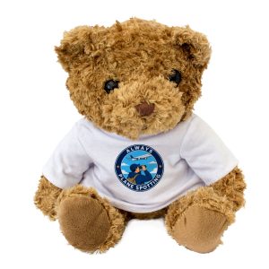 Alternative view of ALWAYS PLANE SPOTTING - Teddy Bear - Cute - Funny Plane Spotter Gift Present