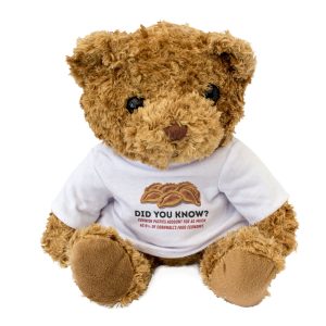 Alternative view of A FUN FACT ABOUT CORNISH PASTIES - Teddy Bear - Cute - Funny Gift Present