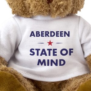 Aberdeen State of Mind teddy bear - close-up view