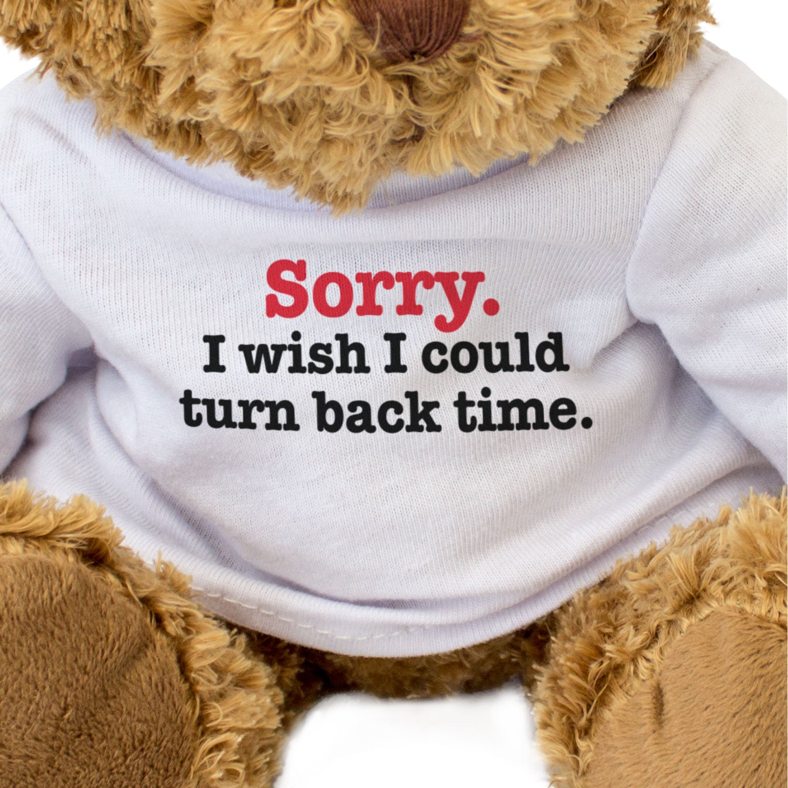 SORRY I WISH I COULD TURN BACK TIME - Teddy Bear - Cute Apology Gift Present - Image 3
